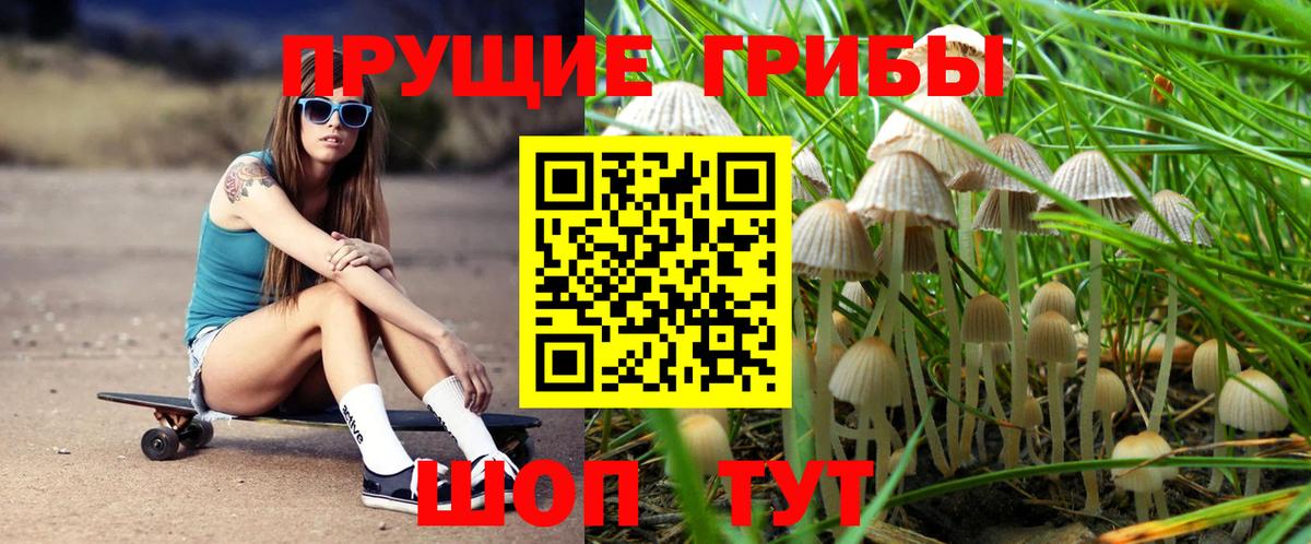 Псилоцибиновые грибы MAGIC MUSHROOMS Севастополь