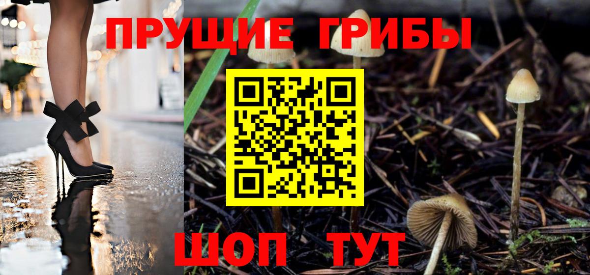 Codein Севастополь