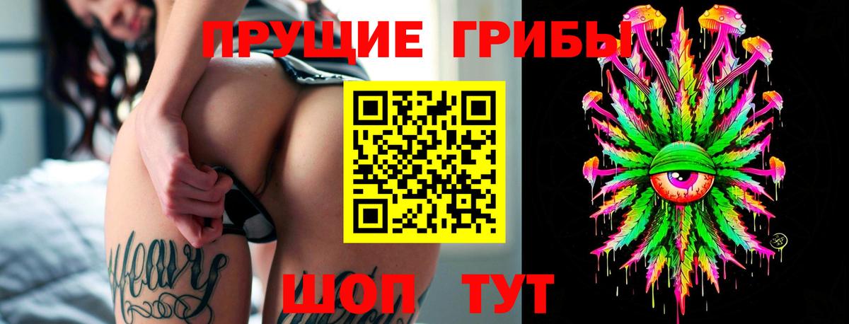Севастополь  Галлюциногенные грибы мицелий  Вход с VPN 